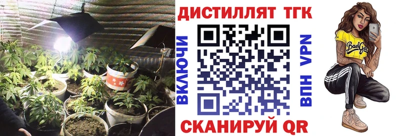 кракен зеркало  как найти   Почеп  ТГК концентрат 