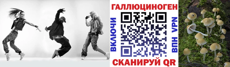 Псилоцибиновые грибы GOLDEN TEACHER  Почеп 